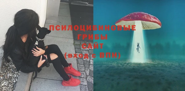 MESCALINE Кодинск
